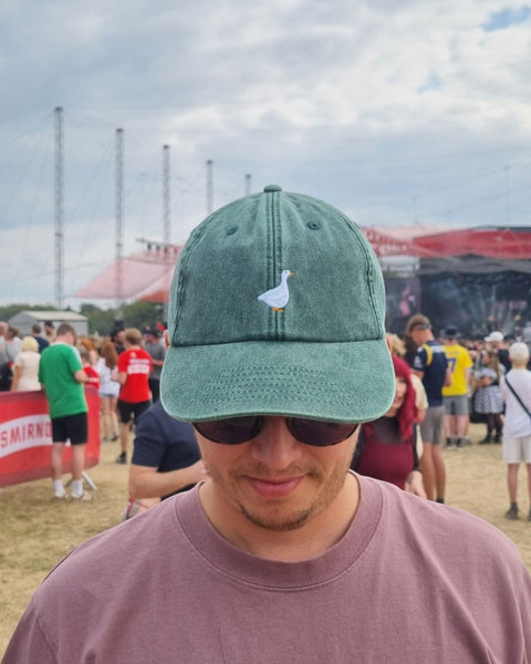 Embroidered Goose Vintage Cap